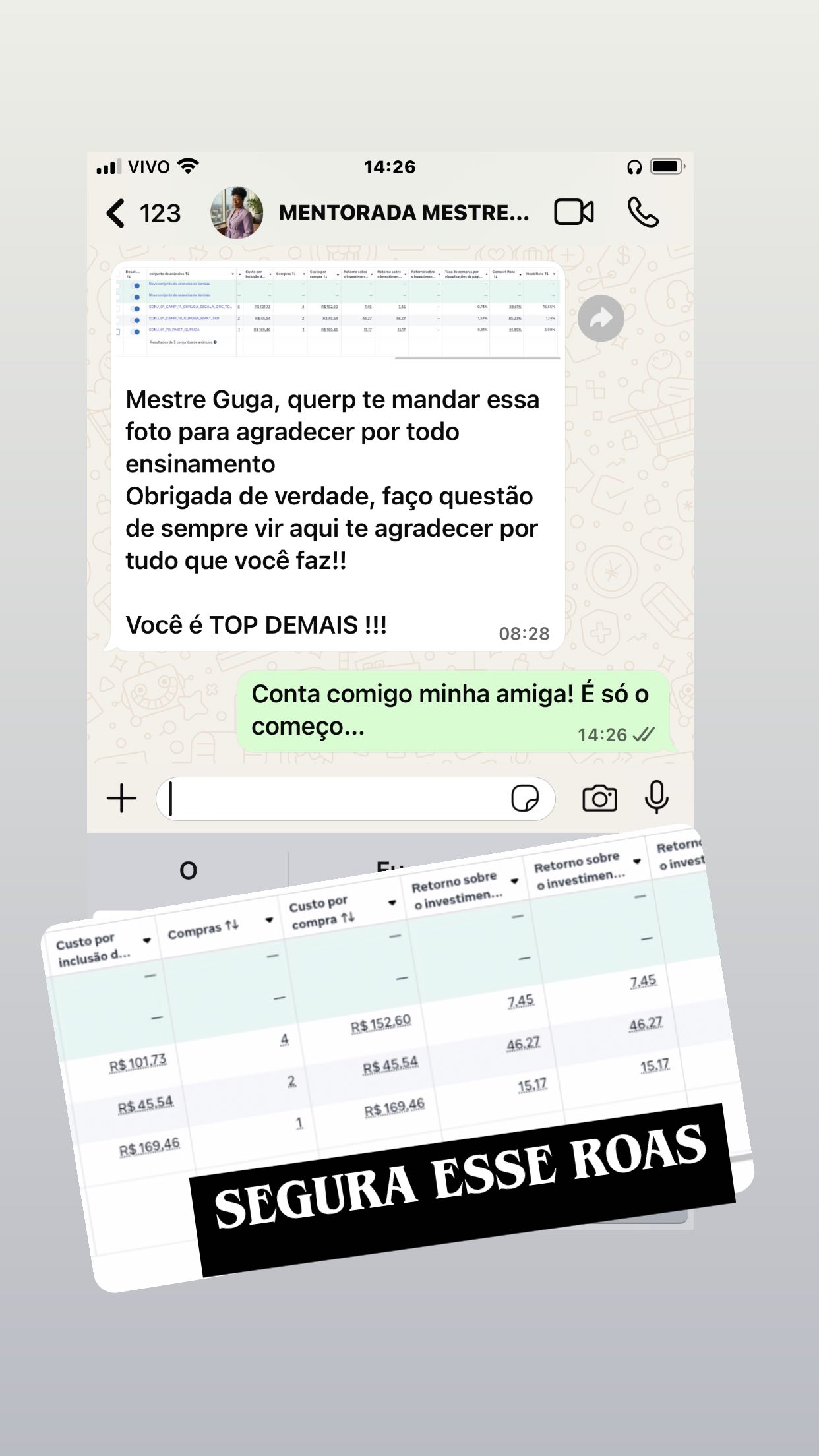 Mentorada identificada como Mestres agradece pelos ensinamentos e compartilha um painel de campanhas.